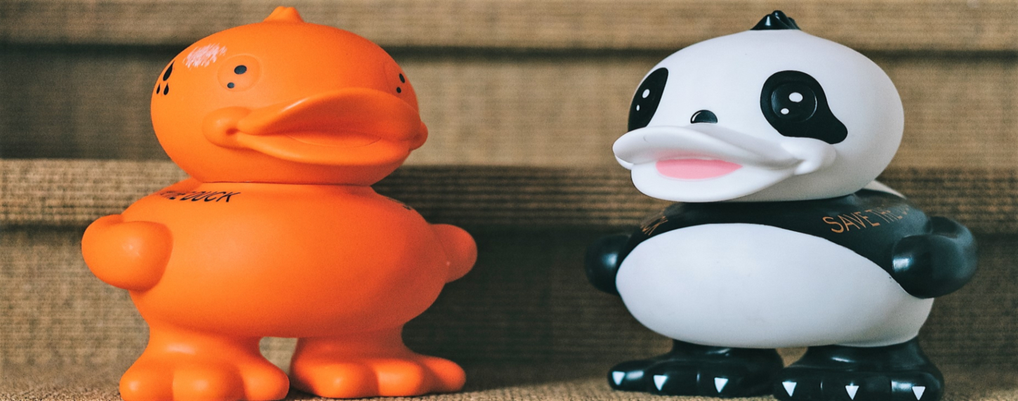 Save The Duck Save The Duck