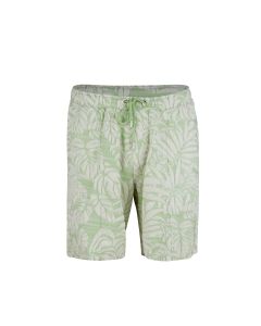 Light Green Floral Terry Shorts