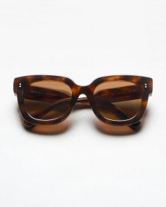 08 Tortoise